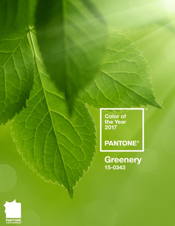 pantone odtieň 2017 greenery
